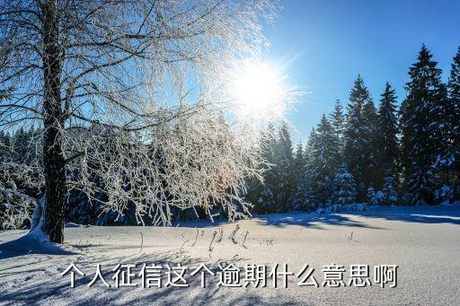 什么是征信逾期，逾期是什么意思...